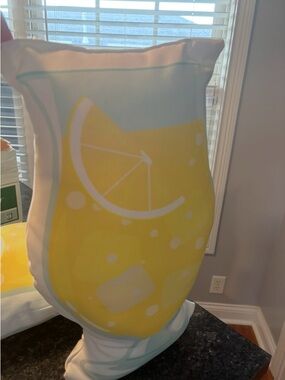 Lemonade Drink Shaped Decorative Pillow